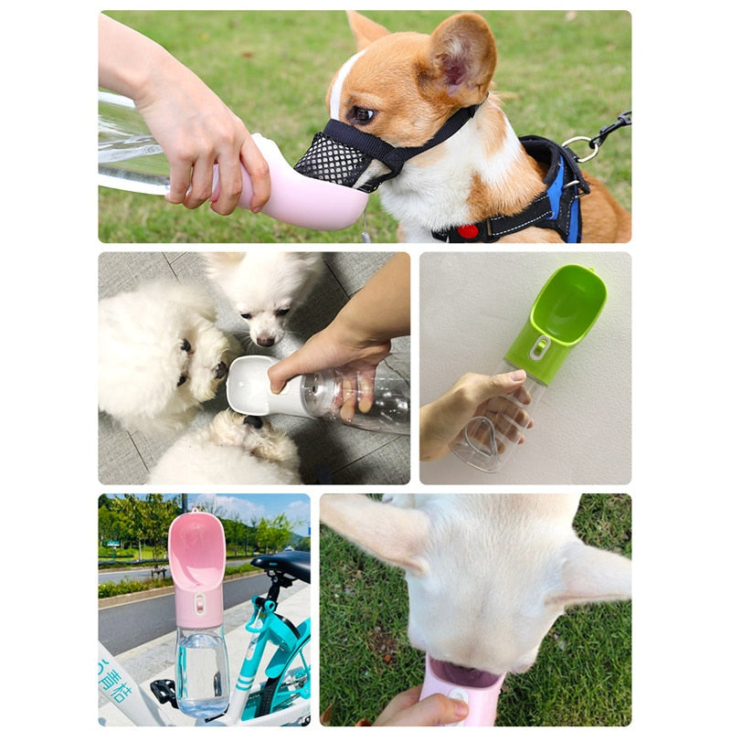 Dog Water Feeder Bowl