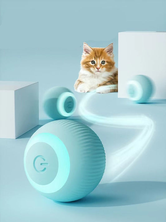 New Smart Cat Toys