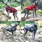 New Harness Winter Warm Dog Clothes