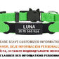 New Personalized ID Tag Cat Collar