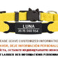 New Personalized ID Tag Cat Collar