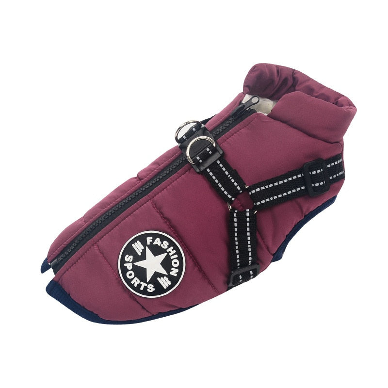 New Harness Winter Warm Dog Clothes