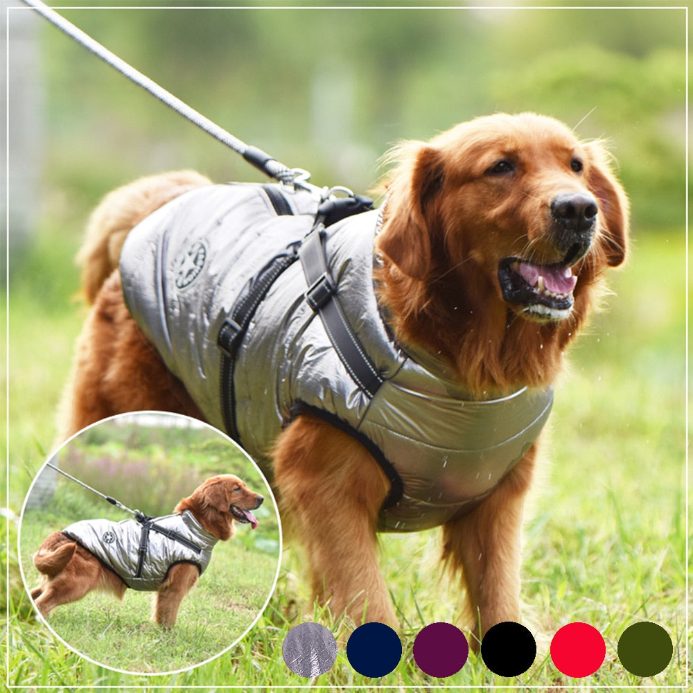 New Harness Winter Warm Dog Clothes