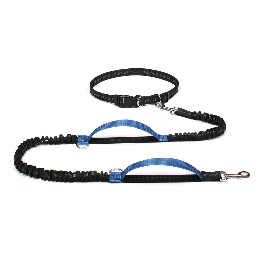 High Quality Retractable Hands Free Dog Leash