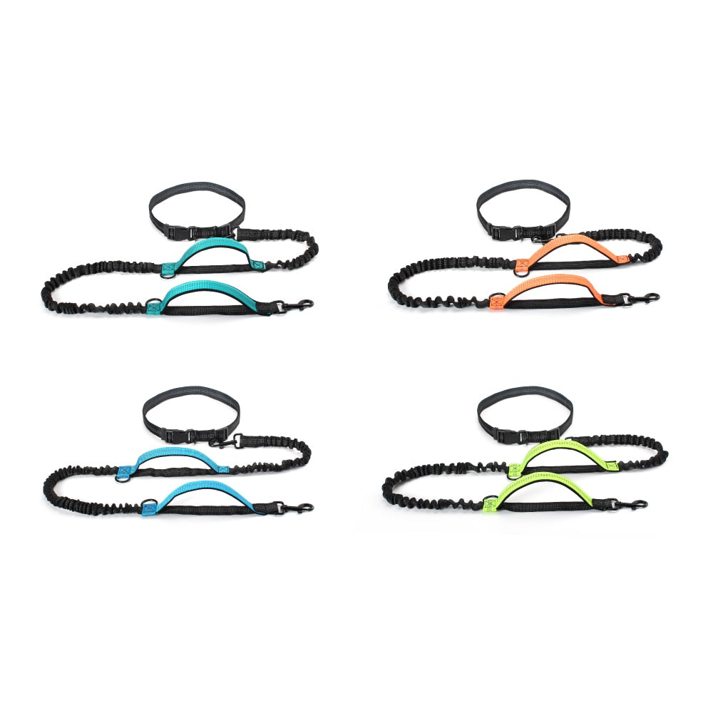 High Quality Retractable Hands Free Dog Leash