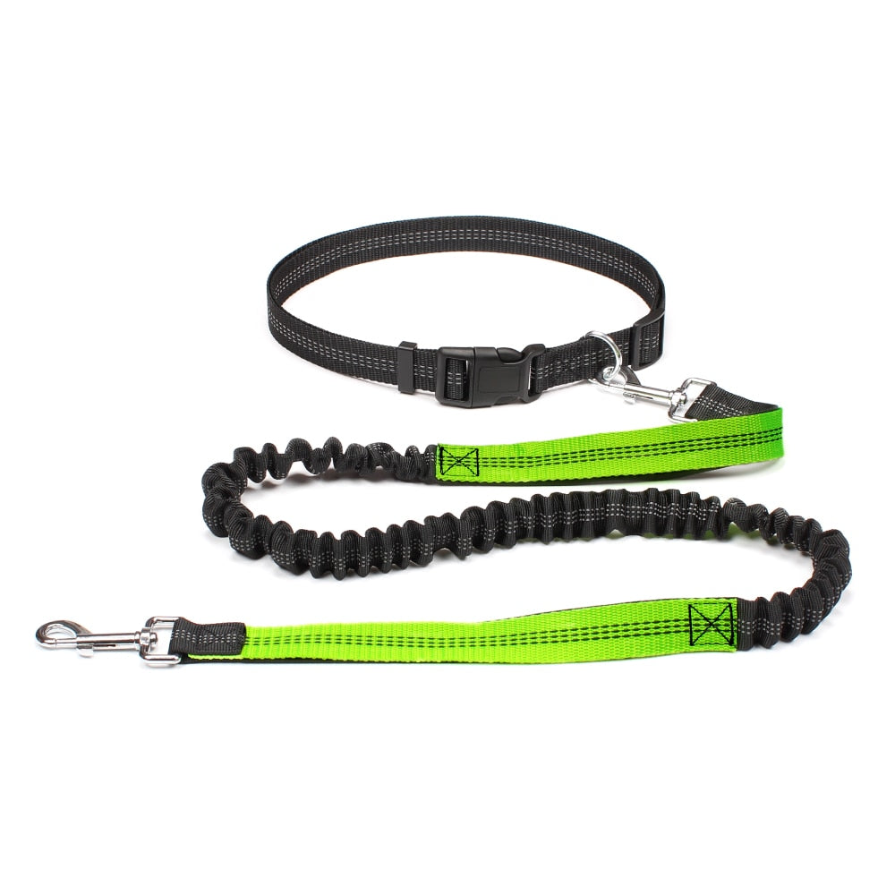 High Quality Retractable Hands Free Dog Leash