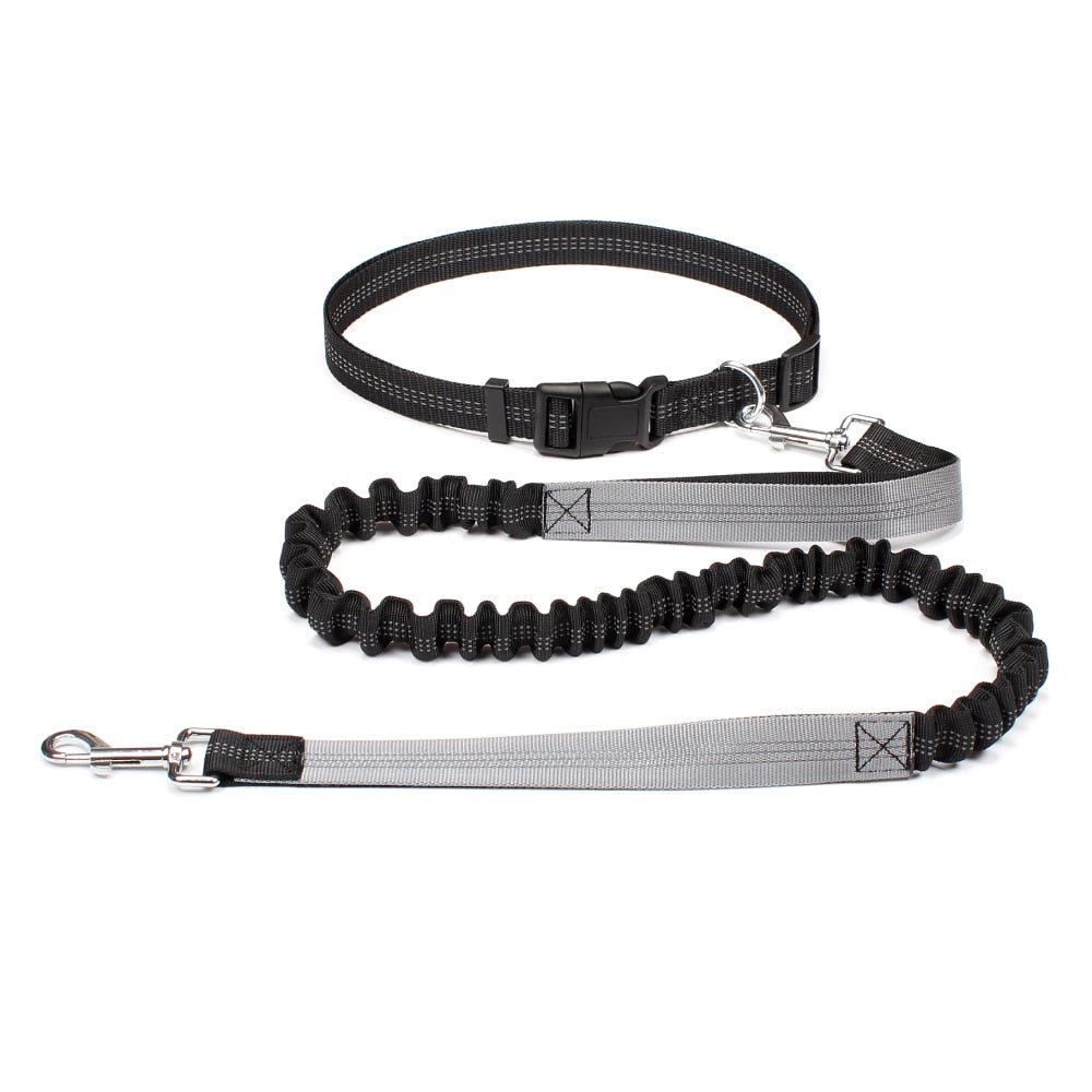 High Quality Retractable Hands Free Dog Leash