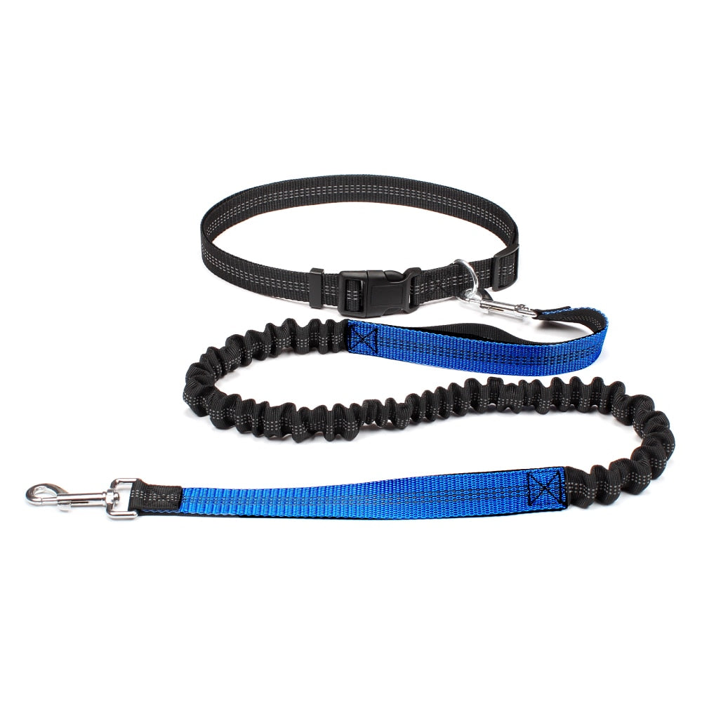 High Quality Retractable Hands Free Dog Leash
