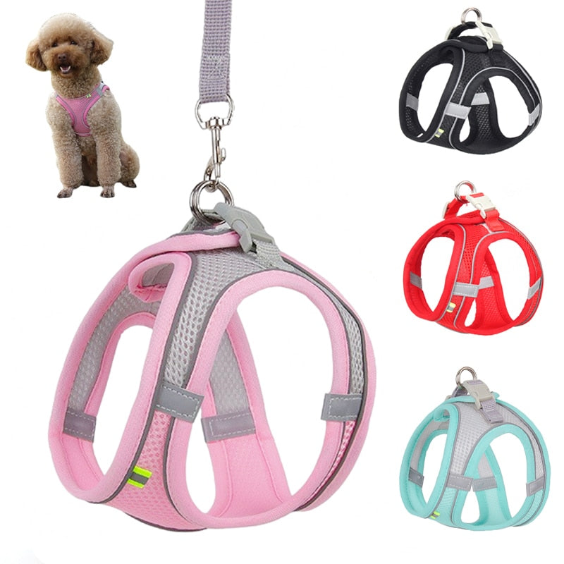 New Dog Harness Leash Set