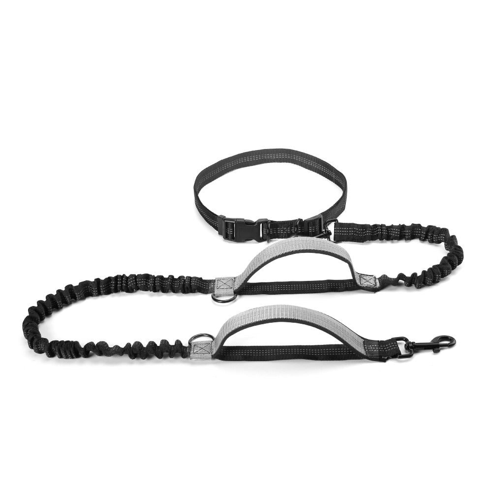 High Quality Retractable Hands Free Dog Leash