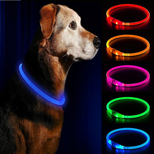 Led USB Dog Collar Pet Dog Night Luminous