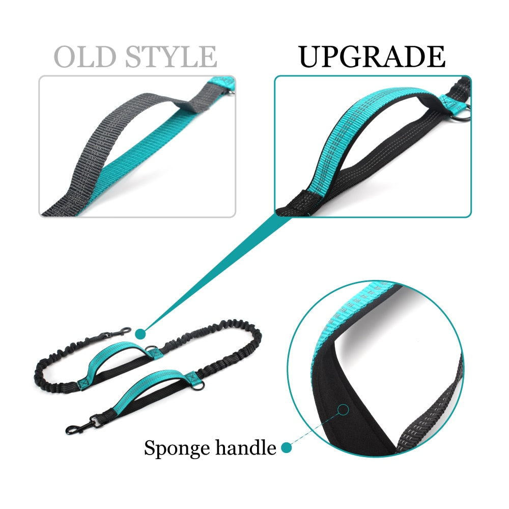 High Quality Retractable Hands Free Dog Leash