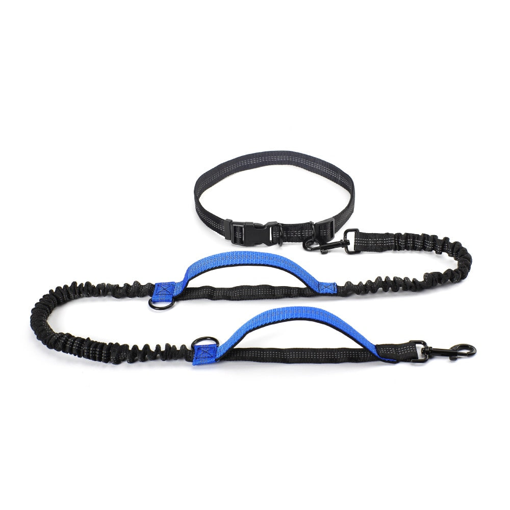 High Quality Retractable Hands Free Dog Leash