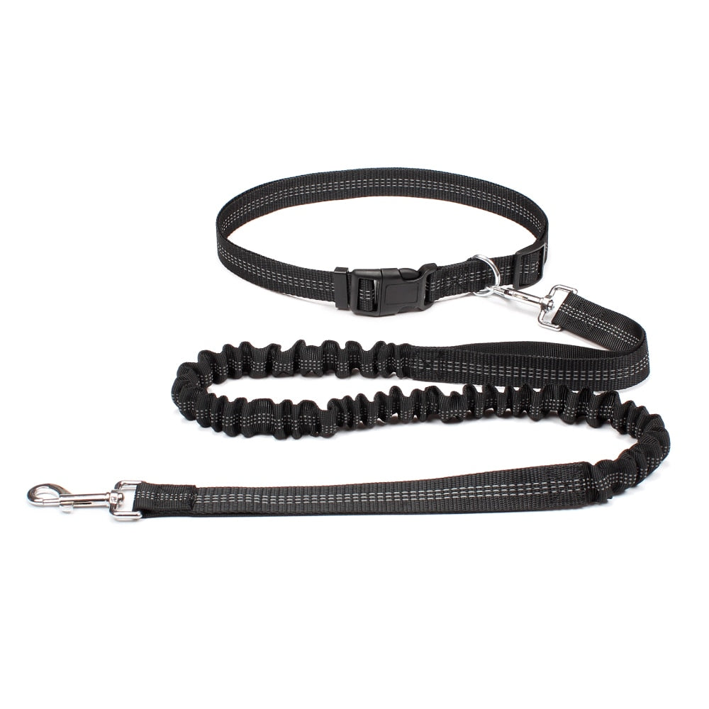 High Quality Retractable Hands Free Dog Leash